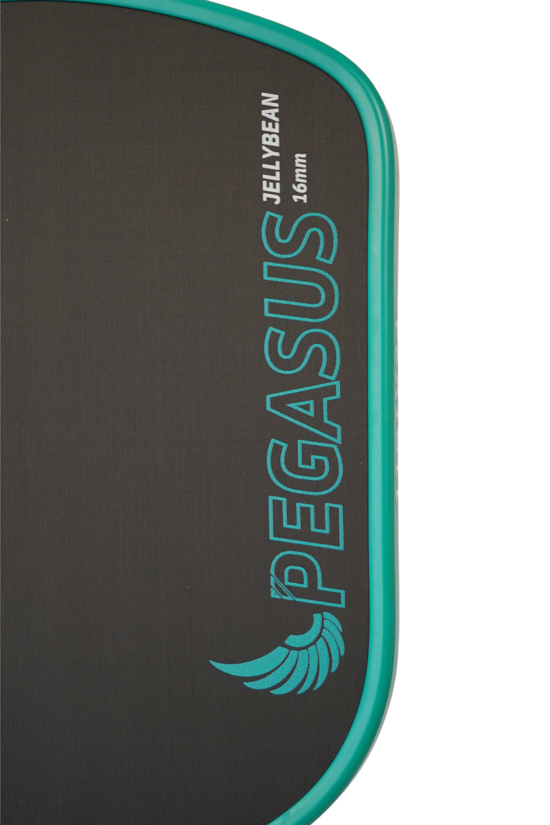 11SIX24 Pegasus Jelly Bean