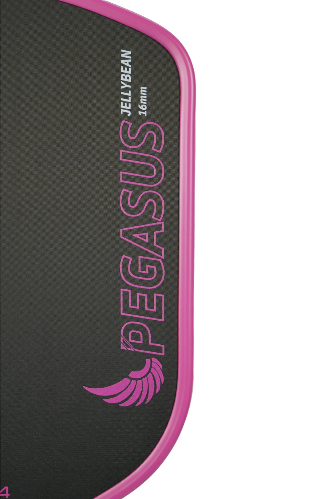11SIX24 Pegasus Jelly Bean
