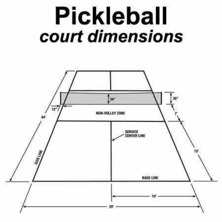 Oncourt Offcourt PickleNet DELUXE